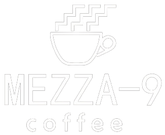 logo mezza9